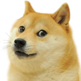 doge.png